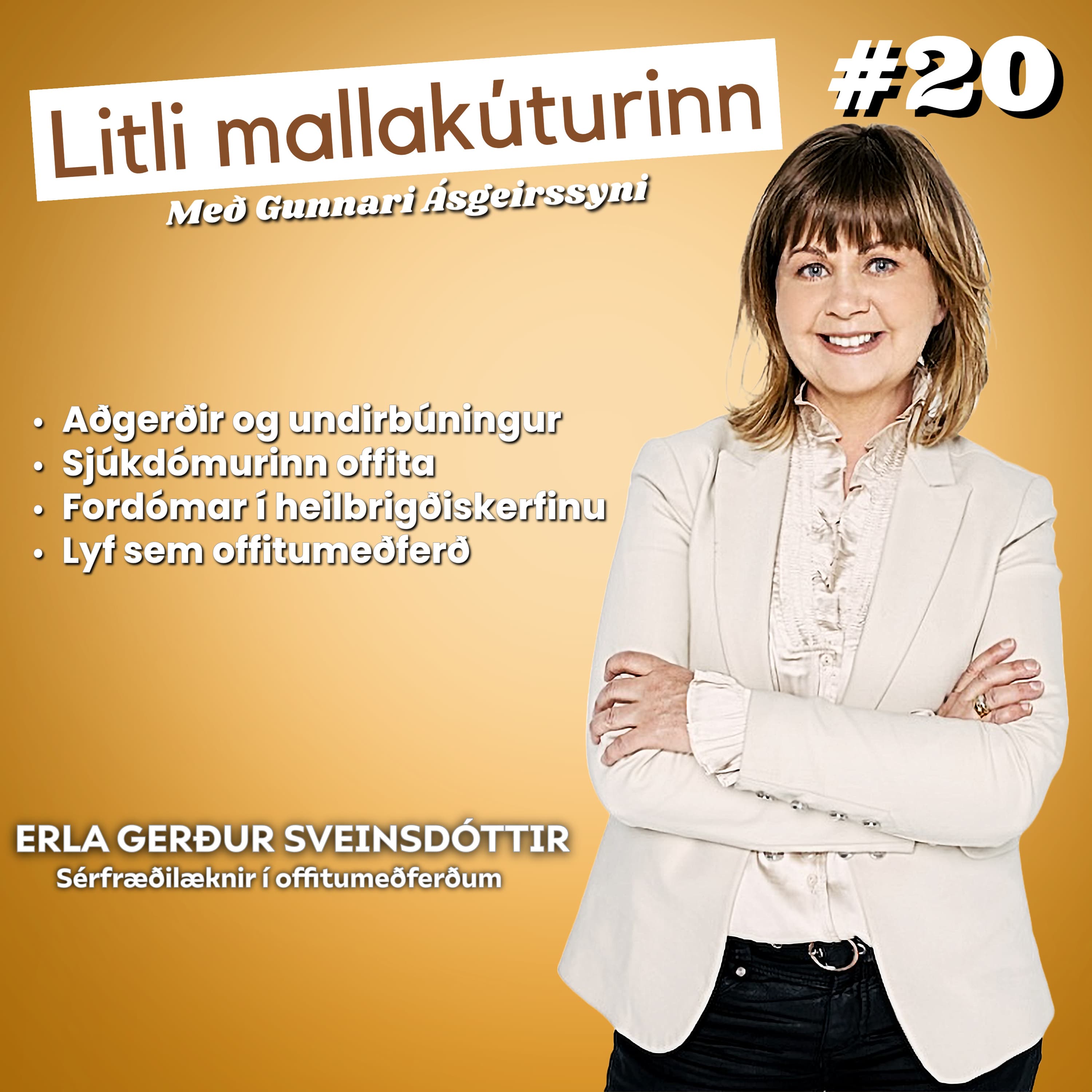#20 - Erla Gerður Sveinsdóttir - Sérfræðilæknir við meðferð offitu